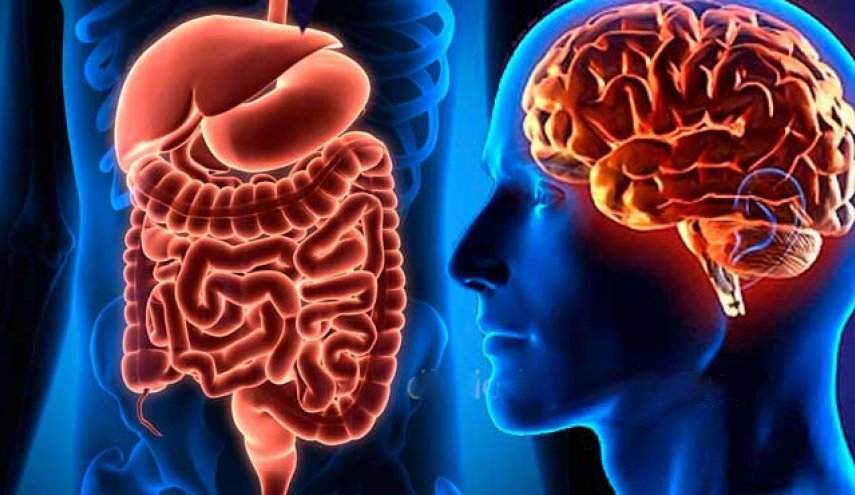 ذاكرة المعدة و علاقتها بالتكميم